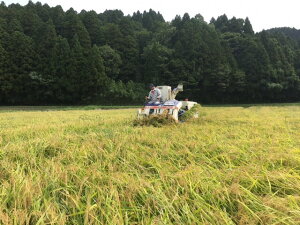 【定期便】能登産コシヒカリ能登夢米6kg×2回(玄米3kg×2袋×2回/計12kg)