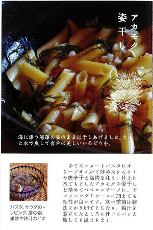 昆布海産物處しら井アカモク6種セット「海の森の食卓」(ねばとろスープ、姿干し、万能パウダー、酒粕キャラメル、こんぶキャラメル、みそキャラメル)
