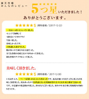 【ふるさと納税】殻付能登かき(1斗缶)
