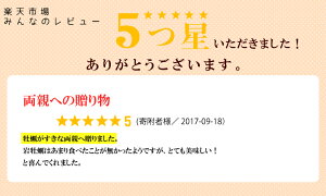 【ふるさと納税】能登産岩牡蠣(2.5kgセット/8〜10個入)