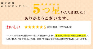 【ふるさと納税】のと情熱大福20個入