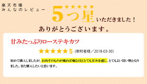 【ふるさと納税】能登豚ローステキカツ100g×7枚※着日指定不可