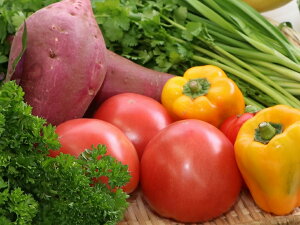 【ふるさと納税】直売所直送季節の野菜の詰合せ