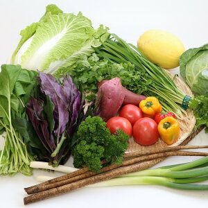 【ふるさと納税】直売所直送季節の野菜の詰合せ