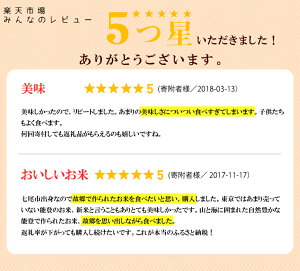 【ふるさと納税】能登米こしひかり10kg(5kg×2袋)/世界農業遺産に認定された『能登の里山里海』で育まれたお米です※平成30年10月より順次発送(10月以降は21日以内に発送)