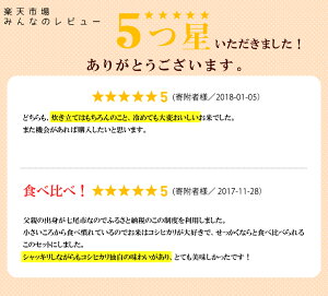 【ふるさと納税】棚田米こしひかり5kgと能登米こしひかり5kg☆世界農業遺産に認定された『能登の里山里海』で育まれたお米の食べ比べセット