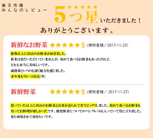 【ふるさと納税】◆平成29年産◆能登米こしひかり3kgと季節の野菜の詰合せ☆世界農業遺産に認定された『能登の里山里海』で育まれたお米と直売所に並ぶ安心安全新鮮な季節の農産物の詰合せです