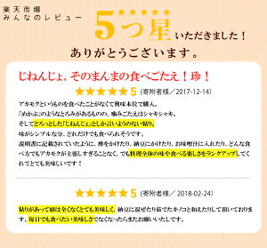 【ふるさと納税】能登半島七尾産天然アカモク「海のじねんじょ」(120g×8パック)