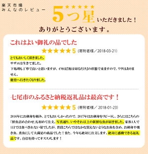 ふるさと納税,石川県,七尾市,能登,鮮魚,詰め合わせ,盛り合わせ,2〜3人前