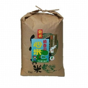 【ふるさと納税】こしひかり能登の心米(精米10kg)/10kg×1袋