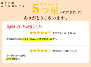 【ふるさと納税】平成29年産石川県七尾産コシヒカリ5Kg・能登ひかり5Kgセット※平成29年10月より順次発送(10月以降は21日以内に発送)