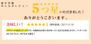 【ふるさと納税】クッキー詰め合わせ