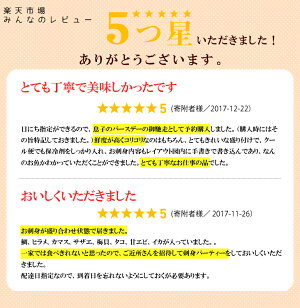 【ふるさと納税】能登七尾のお刺身盛り合わせ