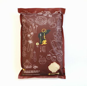 【ふるさと納税】能登米こしひかり5kg×2袋☆世界農業遺産に認定された『能登の里山里海』で育まれたお米です※平成30年10月より順次発送(10月以降は21日以内に発送)