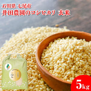 �y�ӂ邳�Ɣ[�Łz�y�ߘa7�N�Y�V�āz��c�_���̃R�V�q�J�� ���� 5kg �\�o�Y�w���R���C�x�̓���� | �ΐ쌧 �����s �\�o �R�� �� ���R���C �󂠂� �����������i ���ƒ�p