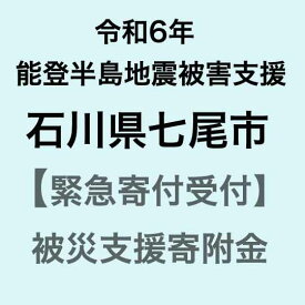 【ふるさと納税】【令和6年能登半島地震災害支援緊急寄附受付】石川県七尾市災害応援寄附金（返礼品はありません）