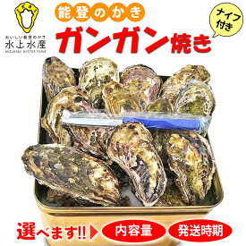 【ふるさと納税】【能登半島地震復興支援】＼選べる内容量・発送時期／水上水産の能登のかき ガンガン焼き（ナイフ付） | 牡蠣 魚介 カキフライ 訳あり 生活応援価格 ご家庭用 石川県 七尾市 能登