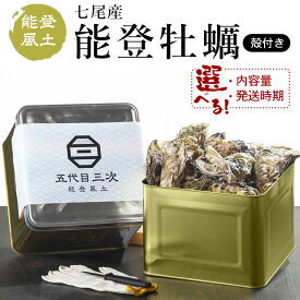 【ふるさと納税】【能登半島地震復興支援】＼選べる内容量・発送時期／能登風土 七尾産「能登かき」殻付き ◇ | 牡蠣 魚介類 カキフライ 水産物 訳あり 生活応援価格 ご家庭用 石川県 七尾市 ※必ずよく加熱してお召し上がりください