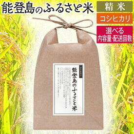 【ふるさと納税】【選べる内容量・配送回数】能登島のふるさと米　コシヒカリ