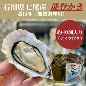 yӂ邳Ɣ[Łzΐ쌧Y \o kt ʁi40j kCEEւ̔zs