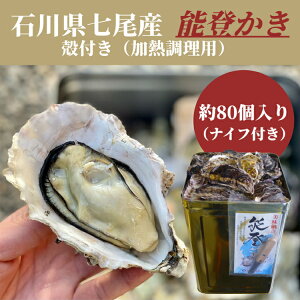 yӂ邳Ɣ[Łzΐ쌧Y \o kt lʁi80j kCEEւ̔zs