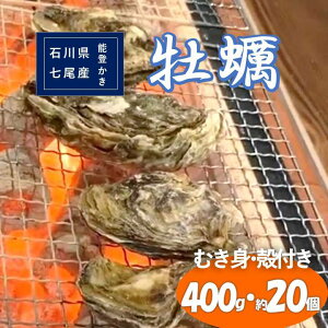 yӂ邳Ɣ[Łzΐ쌧Y \o ނg kt Zbgiނg400gEkt20j Mp ւ̔zs 2026N1{`5{ɏ\by Y JL  