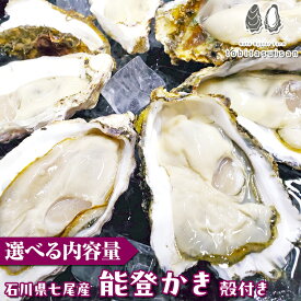 【ふるさと納税】＼選べる内容量／ 飛田水産　石川県七尾産　能登かき　殻付き | 牡蠣 魚介 カキフライ 訳あり 生活応援価格 ご家庭用 専用ナイフ 牡蠣 かき カキ 能登の里山里海 石川県七尾市 能登半島 ※要加熱 ※2026年1月上旬～5月下旬頃に順次発送予定