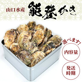 【ふるさと納税】【能登半島地震復興支援】＼選べる内容量・発送時期／山口水産の能登かき（殻付き） | 牡蠣 国産 カキ かき 海鮮 人気 おすすめ カキフライ 魚介 訳あり 生活応援価格 ご家庭用 簡単調理 石川県 七尾市 能登
