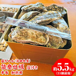 yӂ邳Ɣ[ŁzyIׂzicYj \oy kt ʁi35Oj 5.5kg Mp kCEEւ̔zs