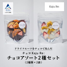 【ふるさと納税】 チョコKaju Re:ドライフルーツ チョコアソート 2種セット ドライフルーツ フルーツ おやつ お菓子 おかし グルメ お取り寄せ 人気 ランキング おすすめ お中元 お歳暮 ギフト 小松市 こまつ 石川県 ふるさと 故郷 納税 011049【Kaju Re:】