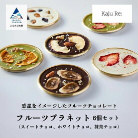【ふるさと納税】 フルーツプラネット 6個セット ドライフルーツ フルーツ フルーツチョコレート チョコレート おやつ グルメ お取り寄せ 人気 ランキング おすすめ お中元 お歳暮 ギフト 小松市 こまつ 石川県 ふるさと 故郷 納税 010187【Kaju Re:】