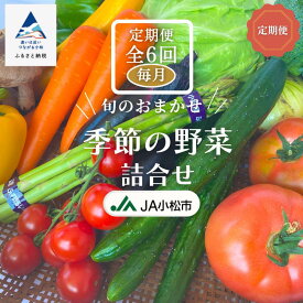 【ふるさと納税】 6ヵ月定期便（毎月） 季節の野菜詰合せ 【JA小松市】6回 旬 野菜詰め合わせ スムージー 小松市 石川県 060018