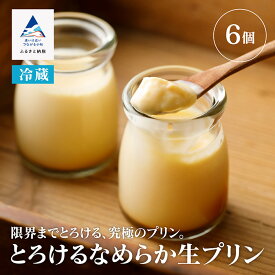 【ふるさと納税】 とろけるなめらか生プリン ( 6個入り ) 冷蔵便 スイーツ 詰め合わせ おやつ お菓子 お中元 お歳暮 母の日 ギフト 小松市 石川県 009052【フォーサムワン】