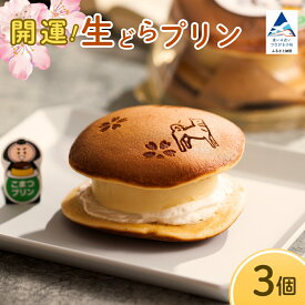 【ふるさと納税】 開運！生どらプリン 3個 洋菓子 和菓子 スイーツ どら焼き どらやき 父の日 子供 ギフト プレゼント 豆乳 ぷりん 甘い こまつ | 石川県 小松市 009082 【お菓子処マルニシ】