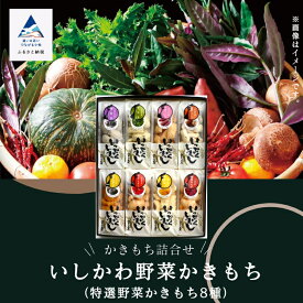 【ふるさと納税】《かきもち詰合せ 》いしかわ野菜かきもち （特産野菜かきもち8種） おかき かきもち 厳選 逸品 お取り寄せ 手土産 お中元 お歳暮 ギフト 小松市 石川県 013040【のむら農産】