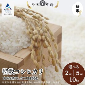 【ふるさと納税】特栽コシヒカリ 精米 選べる 2kg / 5kg / 10kg （玄米を精米したて白米発送） 石川県 小松市 お米 米 白米 7000円 以下 【のむら農産】017015