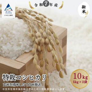 �y�ӂ邳�Ɣ[�Łz���̓R�V�q�J�� ���� �I�ׂ� 2kg / 5kg / 10kg �i���Ă𐸕Ă����Ĕ��Ĕ����j �ΐ쌧 �����s ���� �� ���� �y�̂ނ�_�Y�z017015