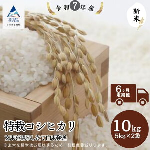 yӂ邳Ɣ[Łzyցz̓RVqJ 10kg(5kg×2) Iׂ 3 / 6  ĂĔĔ