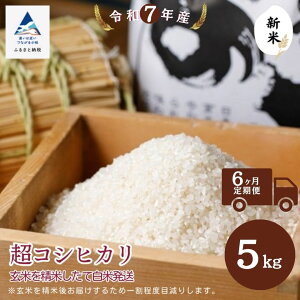 【ふるさと納税】【定期便】超コシヒカリ選べる 3ヶ月 / 6ヶ月 玄米 精米したて白米発送 石川県 小松市 【のむら農産】