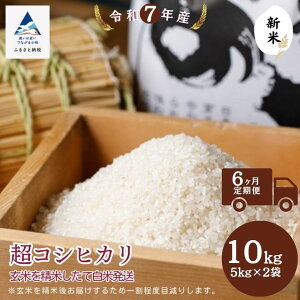 yӂ邳Ɣ[ŁzyցzRVqJ 10kg(5kg×2) Iׂ 3 / 6  ĂĔĔ ΐ쌧 s ŷނ_Yz