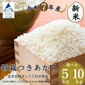 【ふるさと納税】特栽つきあかり 玄米 選べる 5kg / 10kg 精米したて白米発送 石川県 小松市 【のむら農産】016057