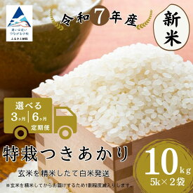 【ふるさと納税】【定期便】特栽つきあかり 玄米 10kg 選べる 3ヶ月 / 6ヶ月 精米したて白米発送 石川県 小松市 【のむら農産】096008