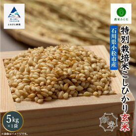 【ふるさと納税】 農家ふじた 特別栽培米 こしひかり 玄米 5kg 令和7年産 米 コメ お米 県産米 国産米 5キロ 小松市 こまつ 石川県 011066【農家ふじた】