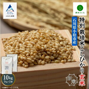 yӂ邳Ɣ[Łz _Ƃӂ ʍ͔| Ђ  10kg(5kg×2) ߘa7NY  R  Y Y 5L s ܂ ΐ쌧 022029y_Ƃӂz