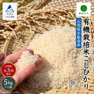 yӂ邳Ɣ[Łzs  t _Ƃӂ L@͔| Ђ  5kg × 3 (  )    V ߘa7NY s ܂ ΐ쌧 3 k 054004y_Ƃӂz