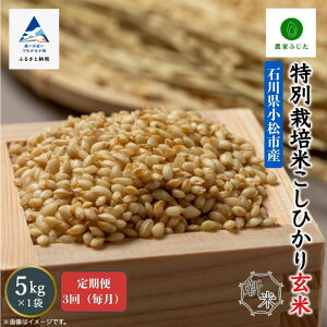 yӂ邳Ɣ[Łzs  t RVqJ 5kg×3 ʍ͔| ߘa7NY Ђ  ij R   054006y_Ƃӂz