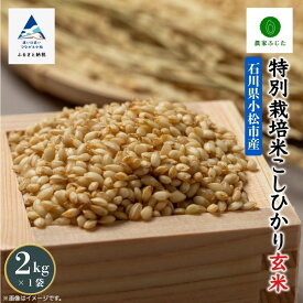 【ふるさと納税】 農家ふじた 特別栽培米 こしひかり 玄米 2kg 令和7年産 米 コメ お米 県産米 国産米 2キロ 小松市 こまつ 石川県 009078【農家ふじた】