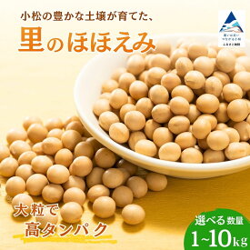 【ふるさと納税】 大豆 選べる 量 1kg 2.5kg 5kg 10kg 豆 1キロ 2.5キロ 5キロ 10キロ イソフラボン おやつ おつまみ 味噌作り 石川 小松 JAあぐり 005012