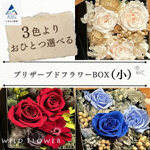 【ふるさと納税】 《色が選べる》プリザーブドフラワーBOX (小)インテリア 飾り お中元 お歳暮 ギフト 小松市 石川県 014048【WILDFLOWER】