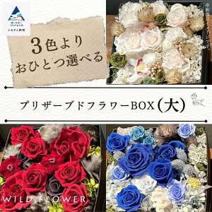 yӂ邳Ɣ[Łz sFIׂtvU[uht[BOX ijCeA   Ε Mtg s ΐ쌧 037017yWILDFLOWERz